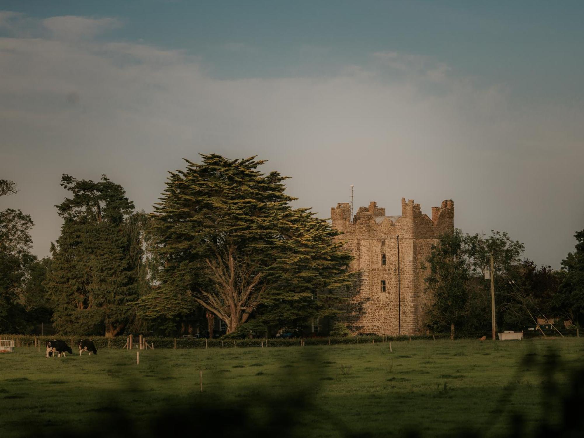 Killiane Castle Country House & Farm Drinagh Exterior foto