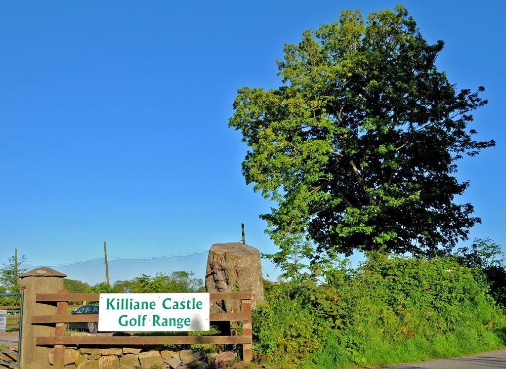 Hotel Killiane Castle Country House & Farm Drinagh Exterior foto